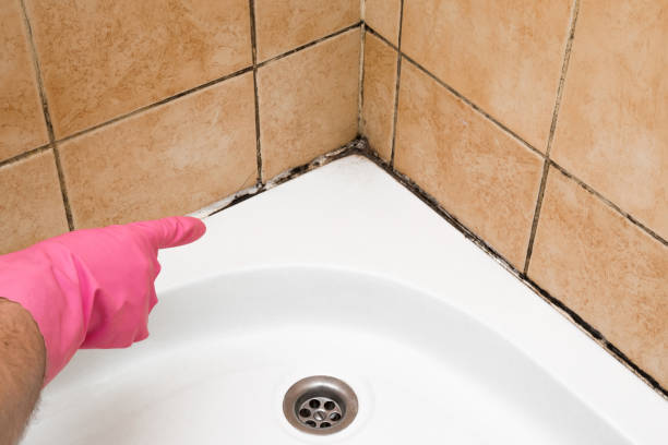 Best Mold Testing  in Ville Ptte, LA
